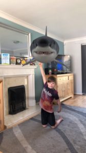 Jacks shark